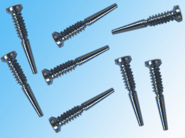 һ���۶���˿